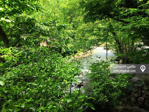 تصویر 11 - ویلا کوروش (واحد 2) در ماسال