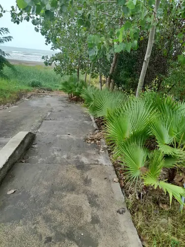 تصویر 8 - سوییت پور باقی (نفس) در  رضوانشهر