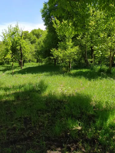 تصویر 3 - اقامتگاه بوم‌گردی سهرورد (واحد۳) در  خدابنده