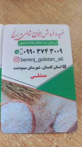تصویر 5 - ویلا خونه ویلایی دربست در اختیار با حیاط در  مینودشت