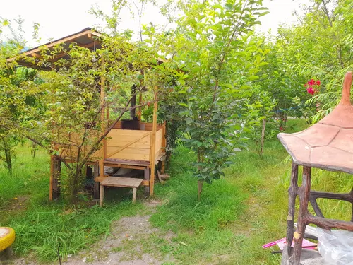 تصویر 12 - کلبه جنگلی آراد در ماسال