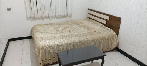 تصویر 4 - آپارتمان اپارتمان مبله در شیراز