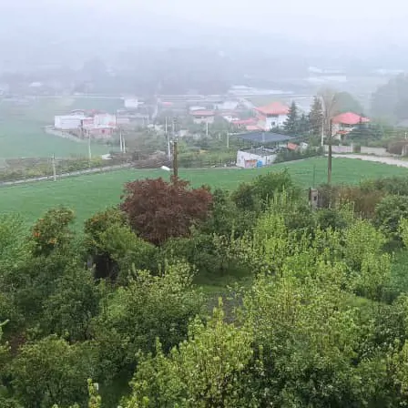 تصویر 5 - ویلا ویلای تفریحی در  ساری