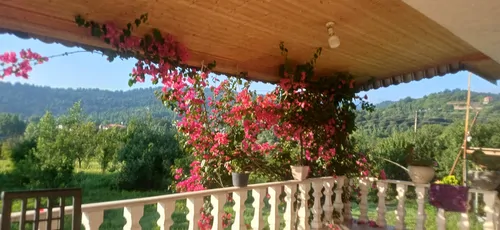 تصویر 4 - ویلا خان سالار در بابل