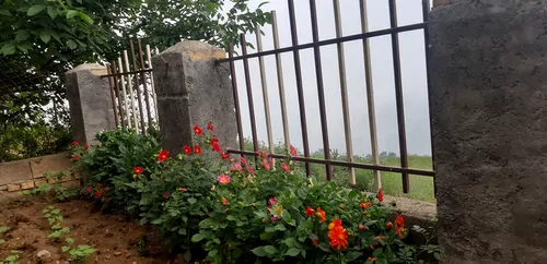تصویر 16 - ویلا ییلاقی جنگلی افراتخته در  علی آباد کتول