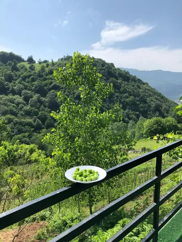تصویر 5 - کلبه کلبه سوئیسی ریندر در رستم آباد