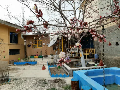 تصویر 4 - کلبه برکه در سپیدان