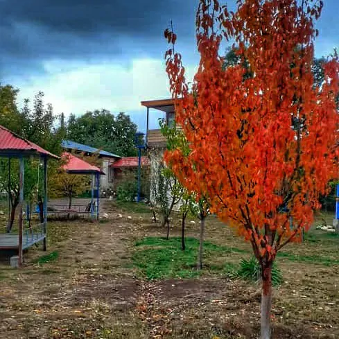 تصویر 11 - اقامتگاه بوم‌گردی کوروش (سوییت سه نفره - ۱) در  خلخال