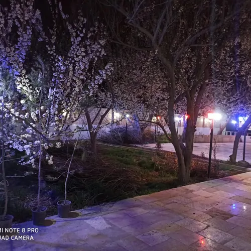 تصویر 3 - ویلا Alisan در شهریار