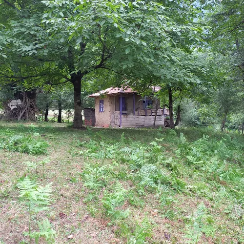 تصویر 2 - کلبه کلبه جنگلی  در آستارا