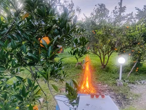 تصویر 11 - ویلا زیبا در  بابل