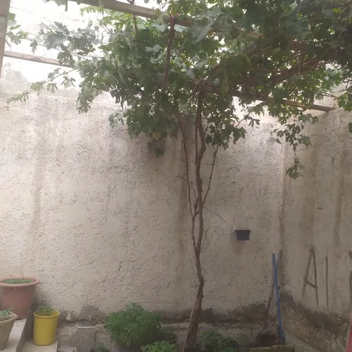 تصویر 5 - خانه کوروش در  تهران