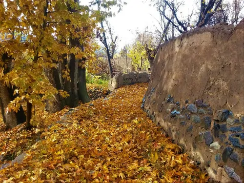 تصویر 5 - اقامتگاه بوم‌گردی میرزایی (قصبه) در  نطنز