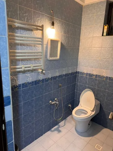 تصویر 12 - آپارتمان مبله سپید در  انزلی