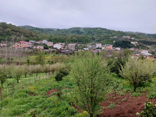 تصویر 15 - ویلا  ساروی در  بابل کنار