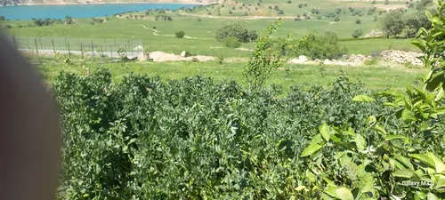 تصویر 2 - کلبه لاکچری با امکانات فراوان رفاهی در ایذه