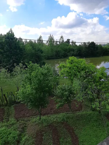 تصویر 20 - ویلا سرای بهشت در رشت