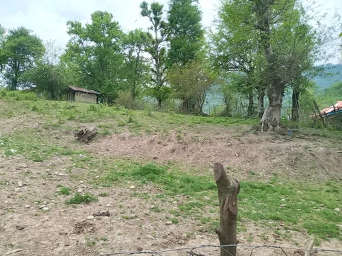 تصویر 18 - کلبه چوبی فرهاد در ماسال