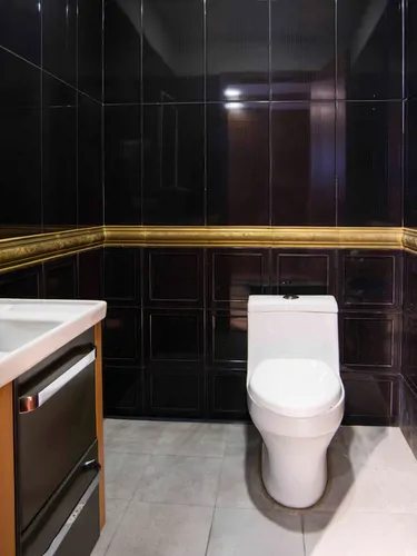 تصویر 16 - آپارتمان مبله تیپ صنعتی ویژه (1) در شریعتی در تهران