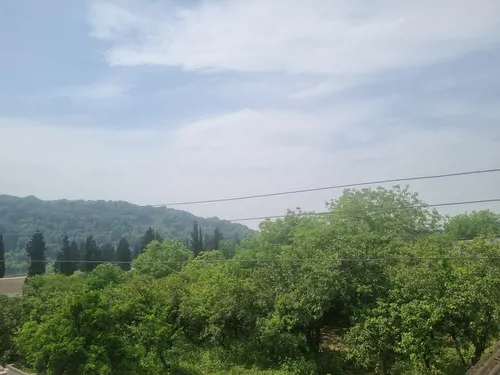 تصویر 20 - ویلا ستاره طلایی در  قائمشهر