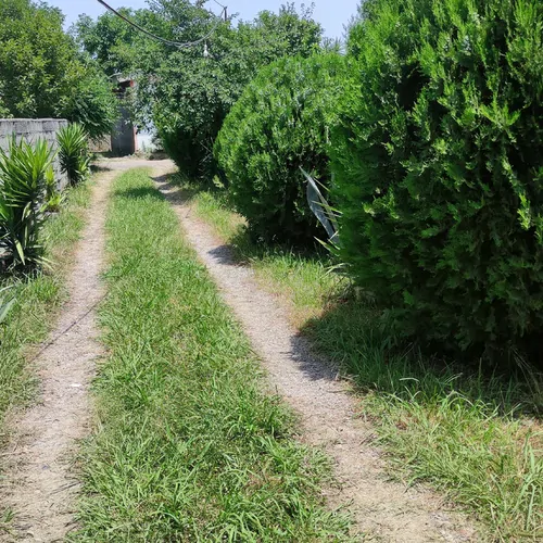 تصویر 2 - ویلا مایا در رویان