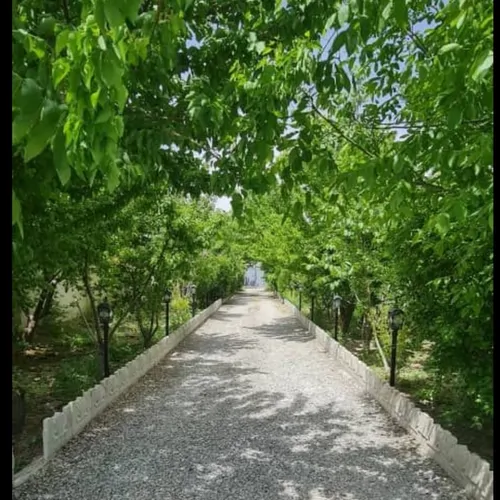 تصویر 3 - ویلا مهروماه  در سهیلیه