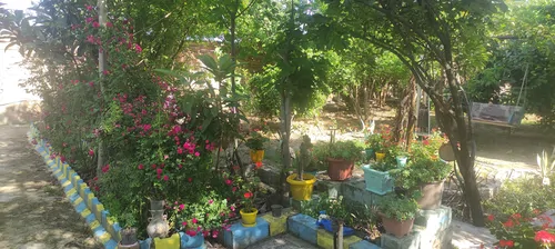 تصویر 24 - ویلا باغ روستایی رائیجی  در  گرگان