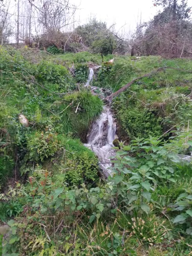 تصویر 5 - خانه خانه روستایی سوادکوه  در  سوادکوه