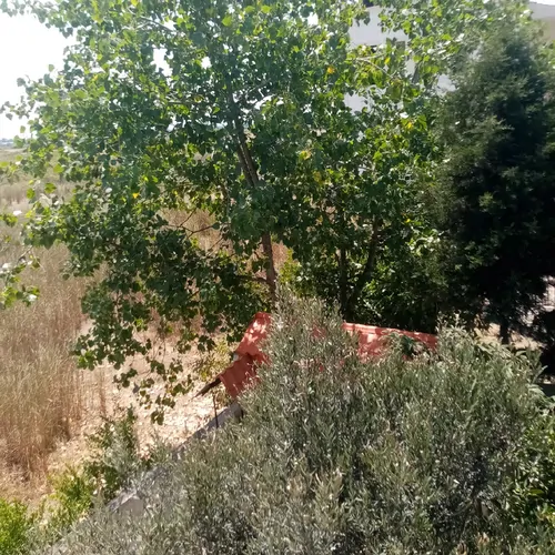تصویر 4 - ویلا ویلای ساحلی سید محمود  در ساری