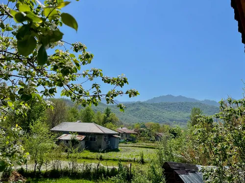 تصویر 21 - کلبه دیلاچیک در  ماسال
