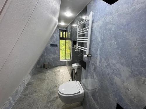 تصویر 16 - کلبه سوئیسی داروین با جکوزی  در  رامسر