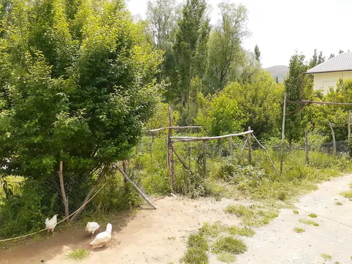 تصویر 5 - ویلا سوییت ویلای امید در  خلخال