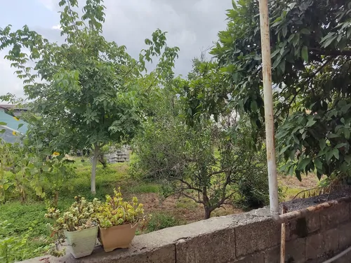 تصویر 18 - ویلا بردیا در  عباس آباد