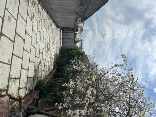 اجاره ویلا الناز ساری