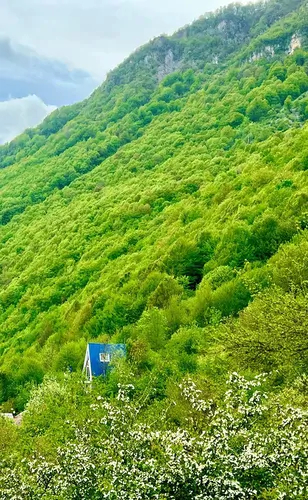 تصویر 3 - کلبه کلبه جنگلی پاندا در دوهزارشهسوار