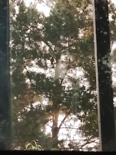 تصویر 2 - ویلا اقامتگاه خانوادگی در قزوین