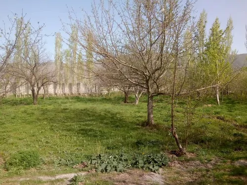 تصویر 3 - خانه خانه عزیزی در اردبیل