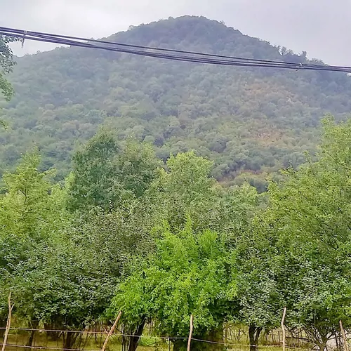 تصویر 3 - ویلا ویلای جنگلی در ماسال