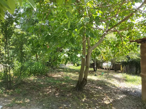 تصویر 13 - روستایی و عشایری درجک در  سراوان
