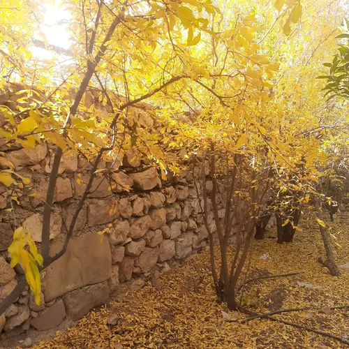تصویر 3 - ویلا خان نشین در ایذه