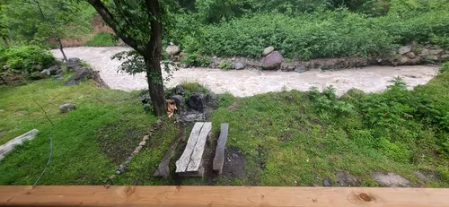 تصویر 12 - کلبه چوبی هلویان در شهسوار