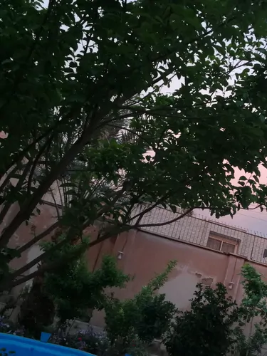 تصویر 3 - خانه خونه قدیمی در اصفهان