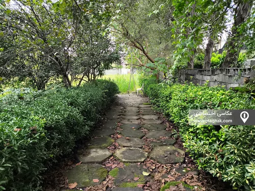 تصویر 12 - ویلا باغ نیکوکار در چالوس