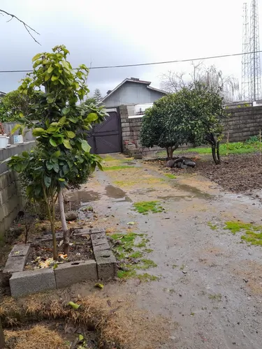 تصویر 2 - ویلا ویلای اسدی در محمودآباد