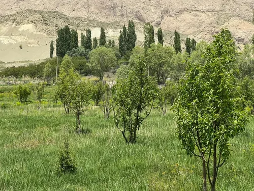 تصویر 16 - کلبه  فانوس در  فیروزکوه 