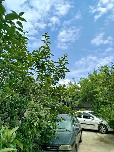 تصویر 18 - سوییت باران در آستانه اشرفیه