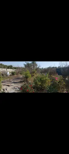 تصویر 4 - ویلا ویلا کازرون در کازرون