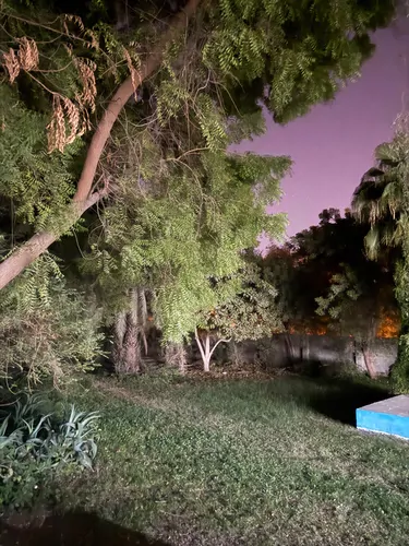 تصویر 9 - اقامتگاه بومگردی نخیل (برهی) با صبحانه رایگان در پارسیان