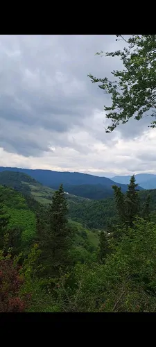 تصویر 25 - کلبه چوبی جکوزی دار وینا  در  زیراب