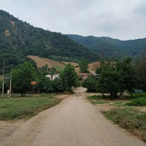 تصویر 17 - ویلا دیانا در مینودشت